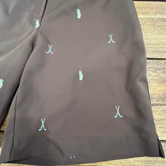 Womans CORAL BAY GOLF SHORTS. Size 18. Pockets! Poly/spandex blend. Stunning! - Picture 2 of 10